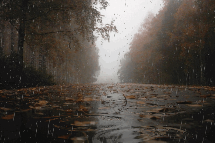 image_861410161119243092129.gif