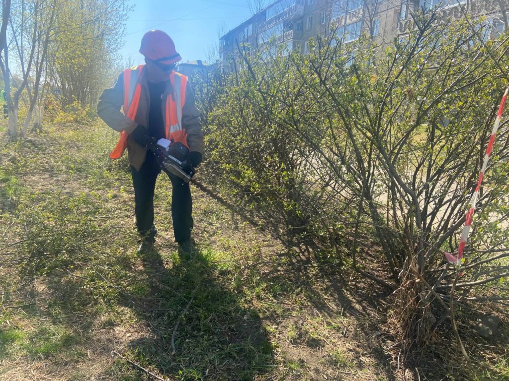 формовка деревьев в ангарске